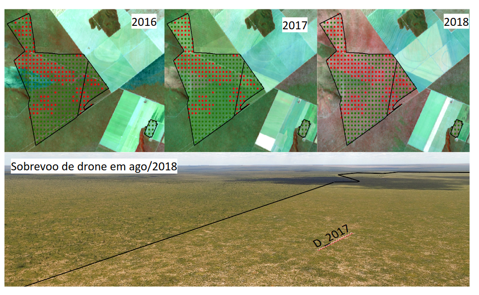Resultado da execução do Bfast-Monitor para um polígono PRODES-Cerrado em Mateiros-TO e fotografia obtida com sobrevoo de drone durante a visita de campo.