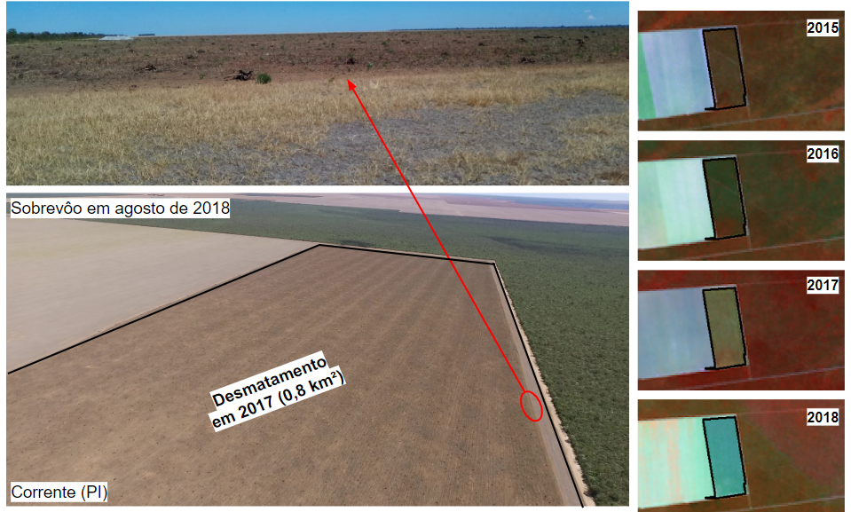 Desmatamento detectado pelo PRODES-Cerrado no ano de 2017 e visitado durante o 1º campo realizado.