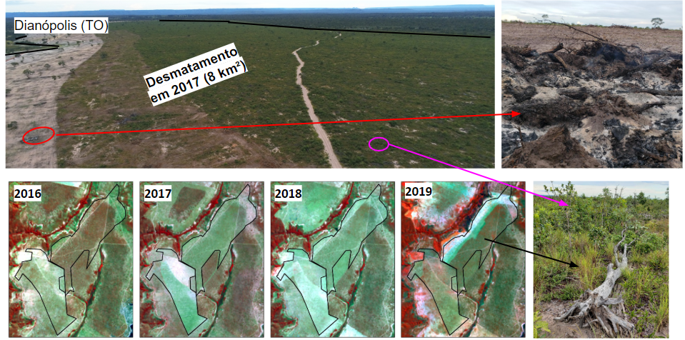 Contribuição das atividades de campo no processo de interpretação das imagens Landsat