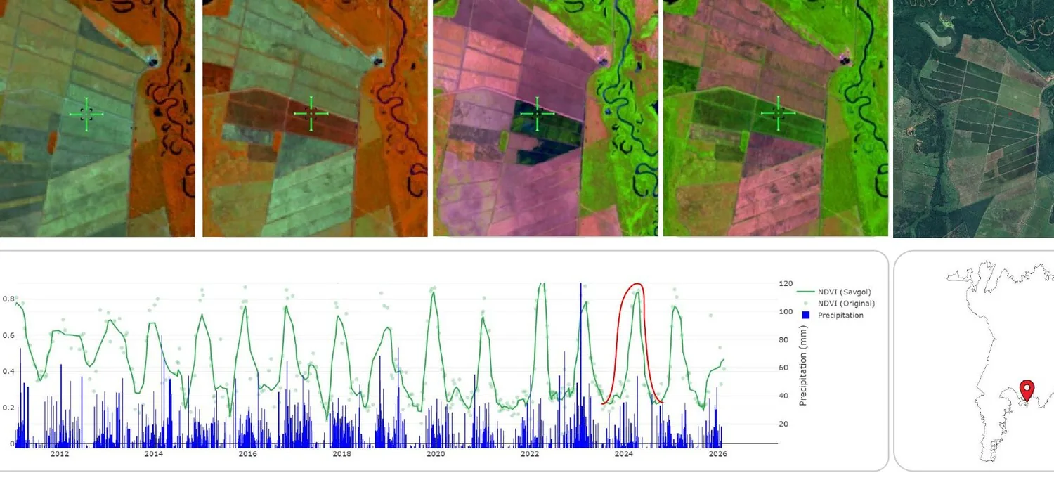 Landsat, Sentinel and Google Earth comparison for Arroz