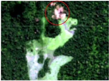 False-color satellite crop with a pink/magenta patch circled in red, marking an area with an exposed-soil color signature