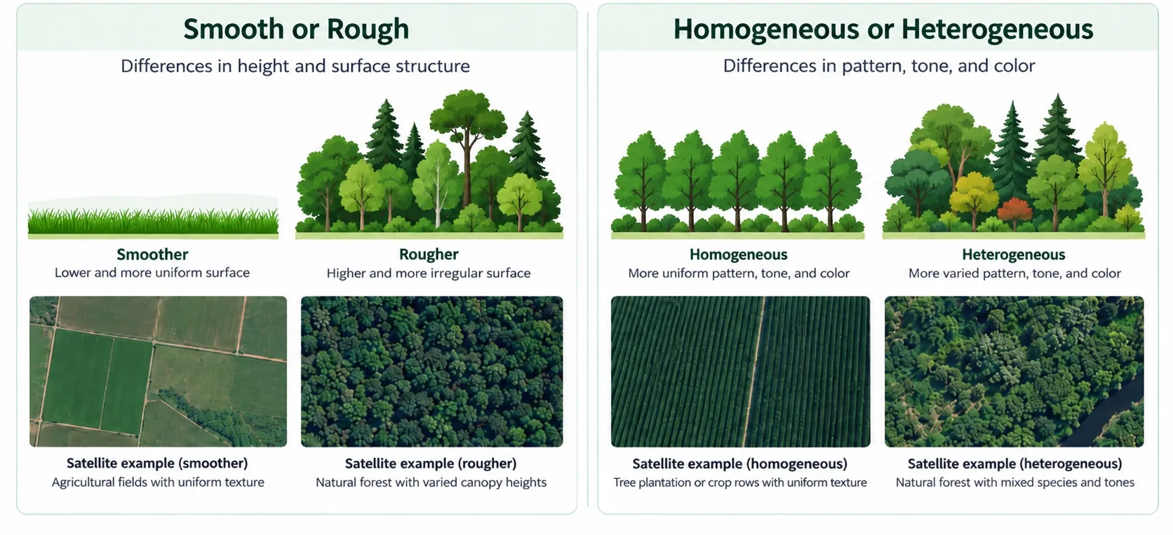 Two panels: Smooth or Rough (grass vs. forest illustrations, with agricultural-field and natural-forest satellite examples) and Homogeneous or Heterogeneous (tree-row vs. mixed-forest illustrations, with plantation and natural-forest satellite examples)