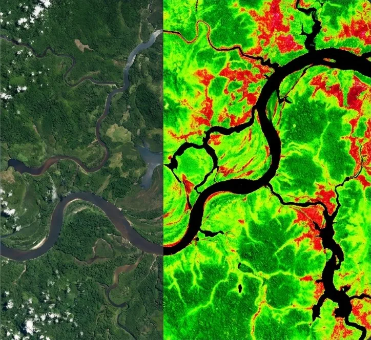 Same river landscape shown in true color next to its NDVI vegetation map